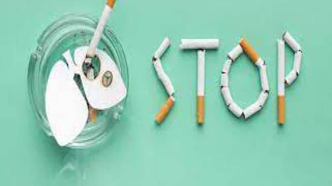 31 Mayıs Dünya Tütünsüz Günü  Etkinlikleri 